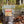 Rosie's Vermont Beef Jerky - Original Flavor